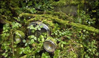 自然の治癒力は伊達じゃない!植物に飲み込まれていく廃墟や人工物の画像25枚