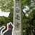 『百毫寺（びゃくごうじ）九尺ふじ（動画あり）』2012.5.13