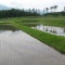 【動画】梅雨の晴れ間（北杜市小淵沢町）