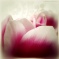 2012.05.07