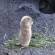 冬の動物園