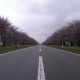 �Ҥ�����ľ�����Ҥ�����11km�������ڤβ֥�����