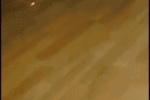 このヌコくっそわろたｗｗｗｗｗｗ