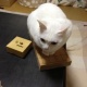 総会の議長!!?????( ̄▽ ̄;)!!