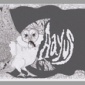 バックドロップ第2弾-50発目! Aayusさま