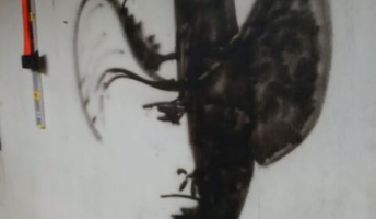 これ何の絵だ?謎の画像に困惑する人が続出