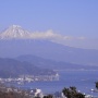 ͺ�礵�ȹ�ڤ����ɼꤵ�ȡ�����ʿ����ǽ����ȵ�