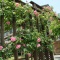 Garden ! Garden ! Garden !