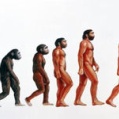 初期人類は日常的に人肉を食べていた? 遺体の調理が慣習化 スペイン