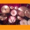 2012年もよろしくお願い致しますぅ♪。