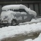 福島阿部農園のニュースを見た