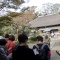 美術館・史跡めぐりバスツアー(アートラインかしわ)