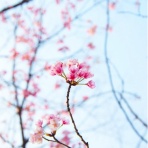 介護がきた・50代から始める独身女性の仕事と生き方