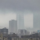 本日の東京スカイツリー（2026年6月21日）