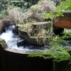 はみ男の日記（仮）