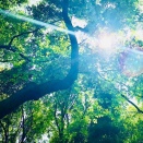 次なる恋～きっかけは母の介護