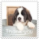 3/22 J.GARDEN59は欠席します。