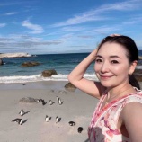 『野生のペンギンを観に』の画像