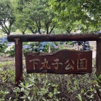 ディスカスの逍遥日誌
