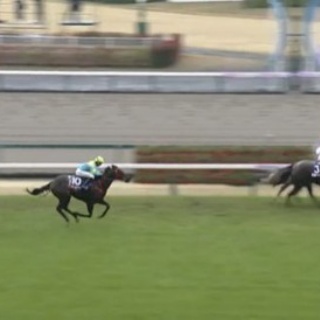 競馬総合まとめ速報