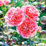 戒's gallery (GalleryGai)