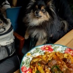 黒ぽめ！あんことおはぎとだんごちゃん