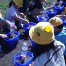 5月15日（金）植物を育てることをとおして