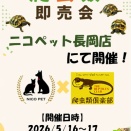【爬虫類即売会】ニコペット長岡店