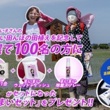 『富山でまいまい米を作ってます』の画像