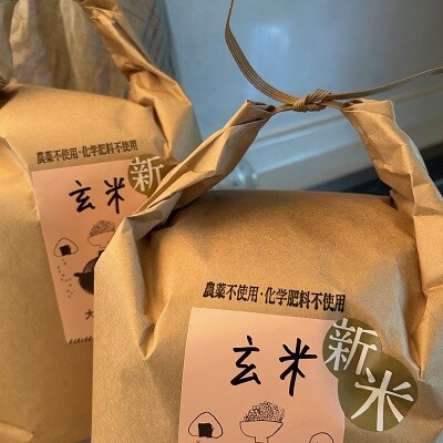 粉袋　リメイク　ワンピース　ベスト　ツバメ 粉袋 リメイク ワンピース ベスト ツバメ - メルカリ