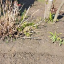 ダメ出しくらう