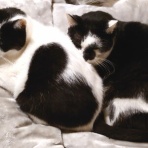 酒とロックな日常