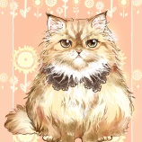 猫の練習などしました