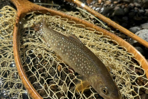 J.Yokota Rod Maker | 横田ロッドブログ - 2025年09月