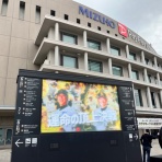 M.A.D.　（もうアタシ、ダメ。）