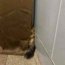 玄関で