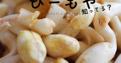ぴーもや知ってる？｜能古島おがわ農園とアイスコーヒー【PR】