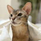 毎日、かわいいを見せつけてくるぼくちん♡