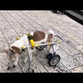 6回目の月命日