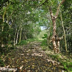 知床と八重山の風景