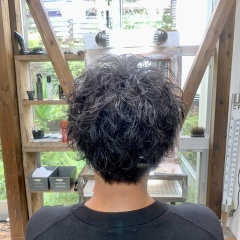 メンズパーマ ( 2025・秋 )