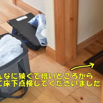 【築21年の家メンテナンス】シロアリ床下点検の結果は？5年ごとの防蟻工事と費用を公開（記事下にPR含）