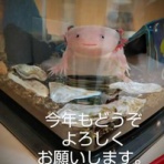 つれづれなる日々。