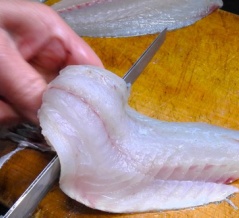 釣りは終わってからが・・・①