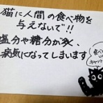 馴れていない成猫の幸せへの道