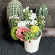 意外に良いじゃない！