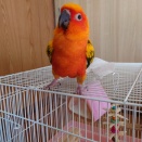 ワキワキ一歩手前