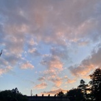 空もよう、心もよう ～ sora koko.