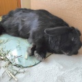 よく寝ます。