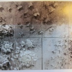 かおるんの＜美術館へ行こう＞